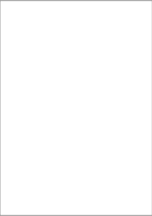Label Size 210mm x 295.2mm_1 label per sheet_Back Slit